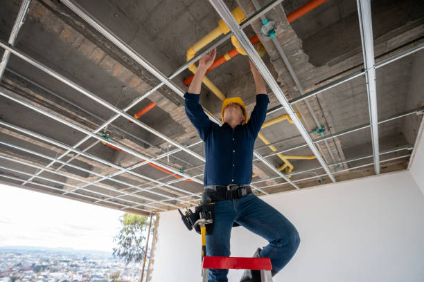 Best Plumbing Inspection Services  in Fruit Cove, FL