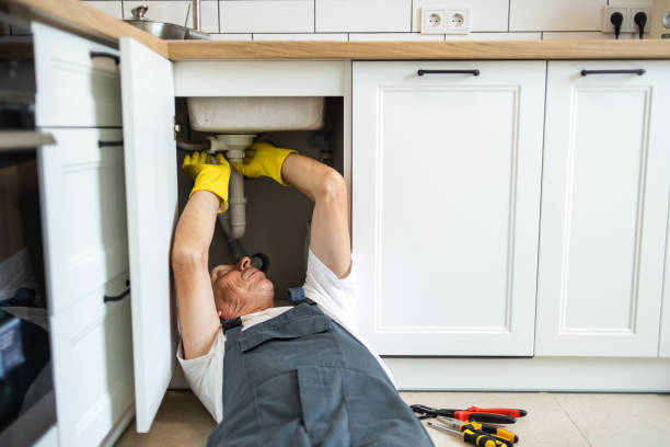 Best Sprinkler Systems  in Fruit Cove, FL